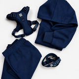 The Everyday Morning Edit Set