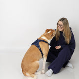 The Everyday Morning Edit Set