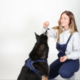 Everyday Essentials Set